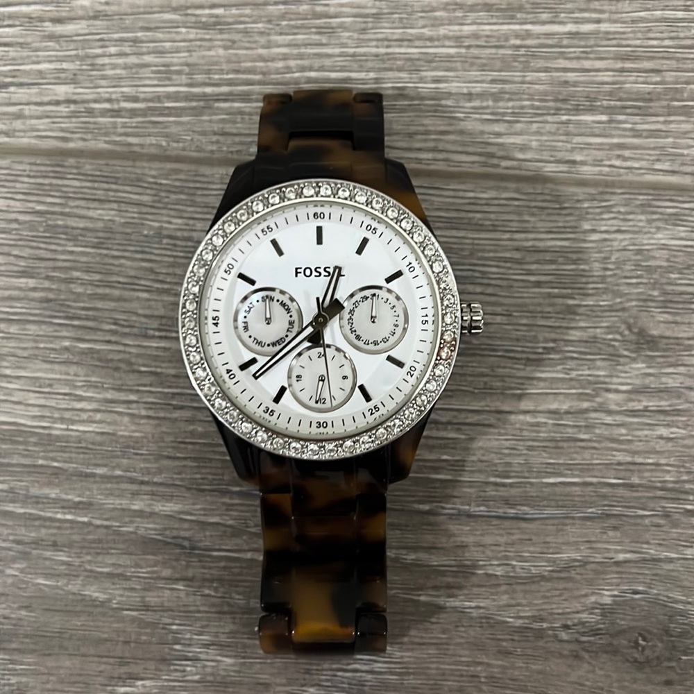 Tortoise Fossil Watch